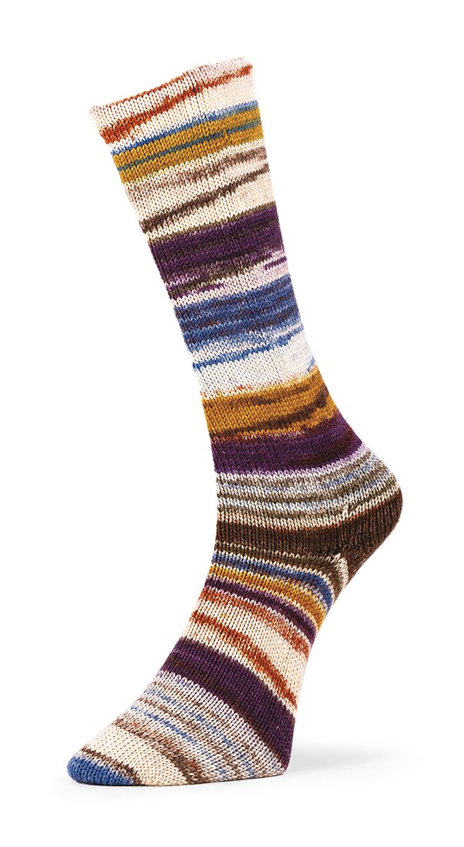 6-ply Optical Socks
