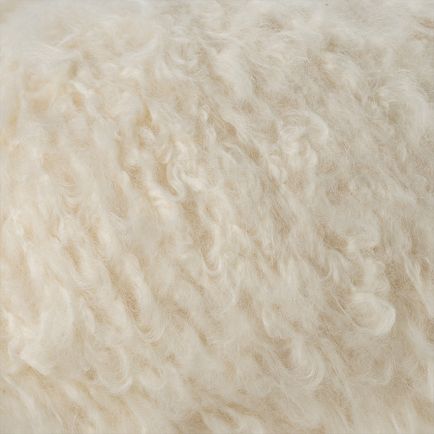 Plume
