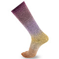 Chromatic Symmetric Socks&More