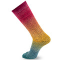 Chromatic Symmetric Socks&More