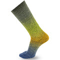 Chromatic Symmetric Socks&More