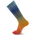 Chromatic Symmetric Socks&More