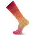 Chromatic Symmetric Socks&More