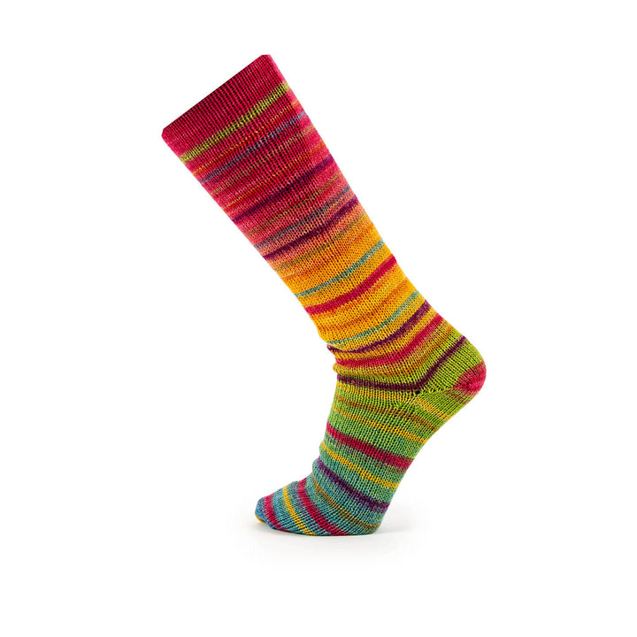 Paradise Symmetric Socks&More
