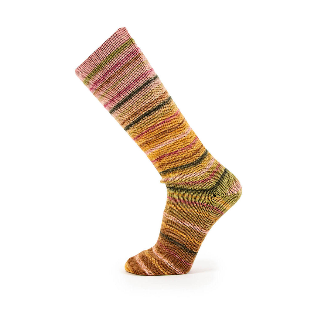 Paradise Symmetric Socks&More